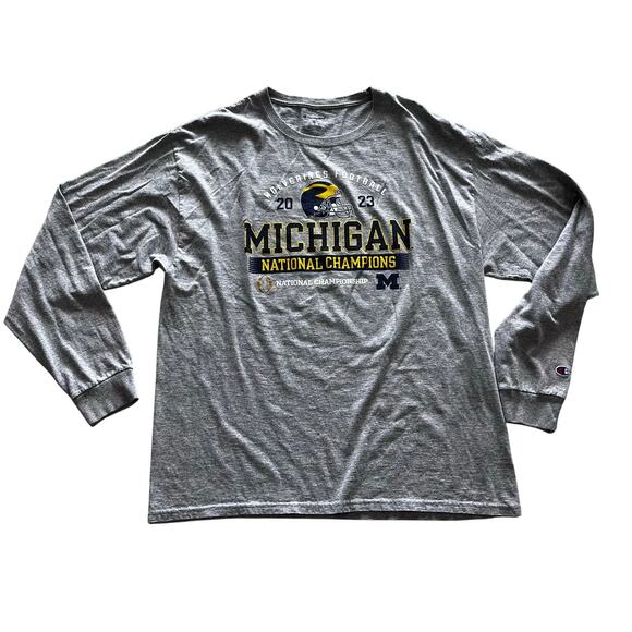 Champion University Of Michigan Wolverines Men's LG Football Graphic T-shirt - Picture 1 of 5
